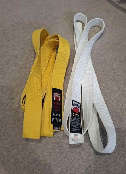 Photo of free Martial Arts Belts (Kingsdown SN2) #1