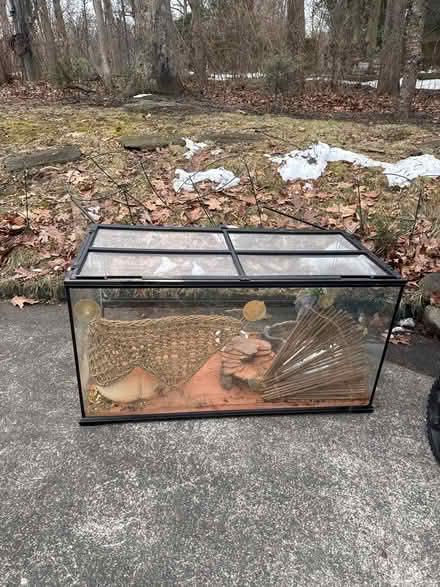 Photo of free Bearded Dragon Tank Lights Supplies (Annandale, VA) #1