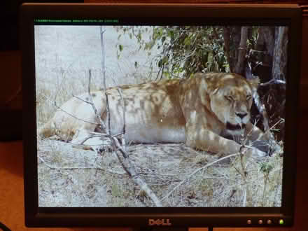 Photo of free Monitors 5, 6 (West Oxfordshire OX28) #4