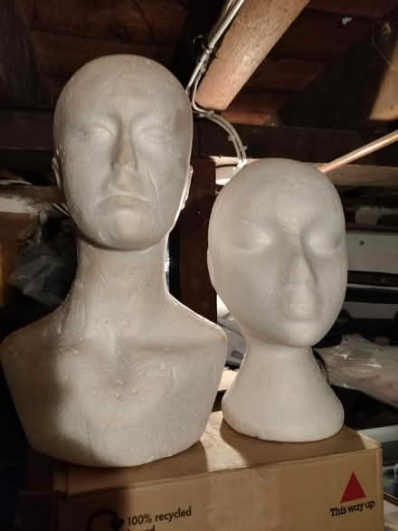 Photo of free Mannequin heads (Manor Park E12 6D) #1
