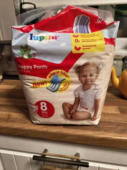Photo of free Nappy Pants (Caerphilly CF831D) #1