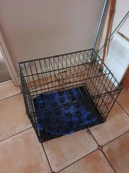 Photo of free Dog cage and basket (Coventry CV6) #2