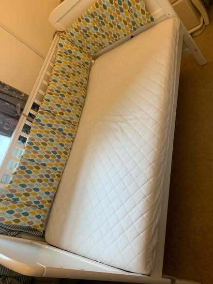 Photo of free Baby/toddler cot (Hereford, HR2, Ross road) #3