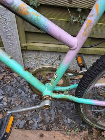 Photo of free Bike. 32" frame (Romford RM2) #4