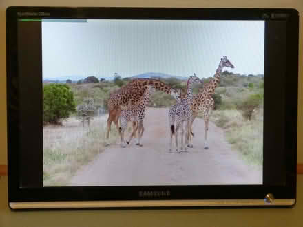 Photo of free Monitor 8 (West Oxfordshire OX28) #2