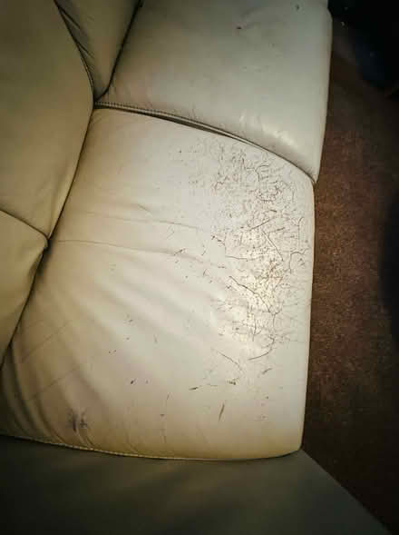 Photo of free White leather 3-seater sofa (Hove BN3) #4