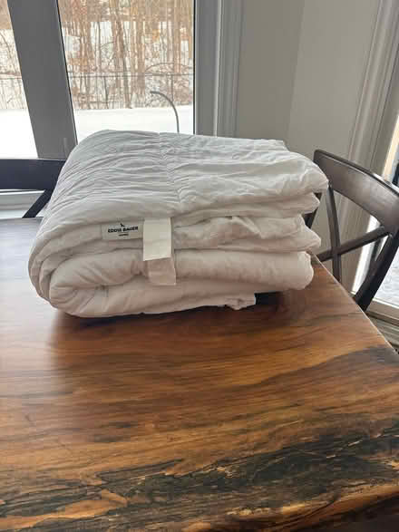 Photo of free Duvet insert 90x90 (Kanata Lakes) #1