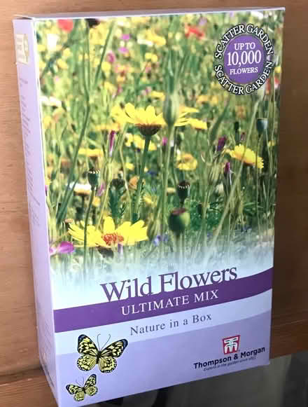 Photo of free Wild Flower Seeds (Woodlands Av., Sidcup DA15) #2