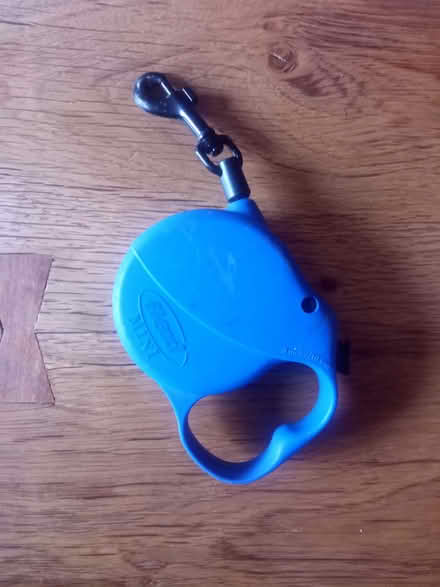 Photo of free Small retractable lead (Knock CA16) #1