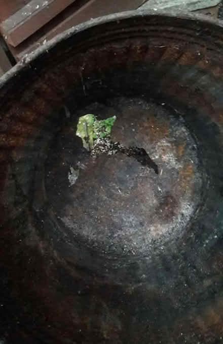 Photo of free Galvanised Metal Bin Project (Sandy SG19) #4