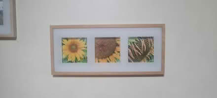 Photo of Picture frames (Manchester) #1