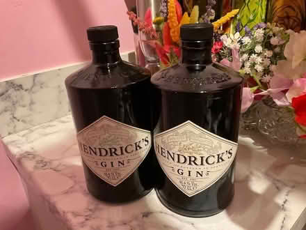 Photo of free Empty bottles for craft project? (Bristol BS6) #1