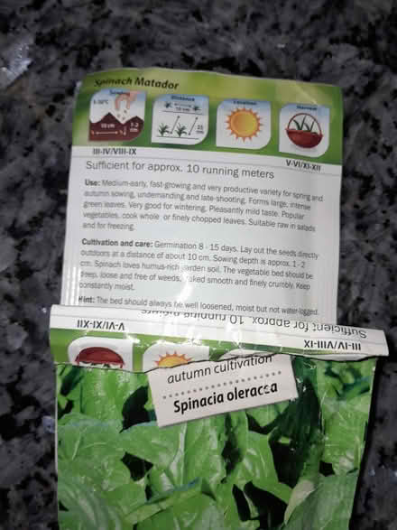Photo of free Spinach seeds (Barnard's Green WR14) #1