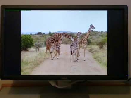 Photo of free Monitors 9 - 11 (West Oxfordshire OX28) #2