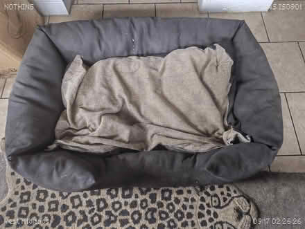 Photo of free Dog bed for large dogs (WV4 parkfields) #1