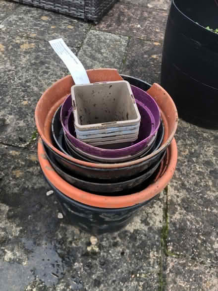 Photo of free Plastic pots (NR2) #1