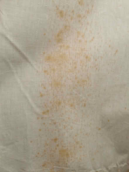 Photo of free Curtains and Pole (Brandwood End B14) #3