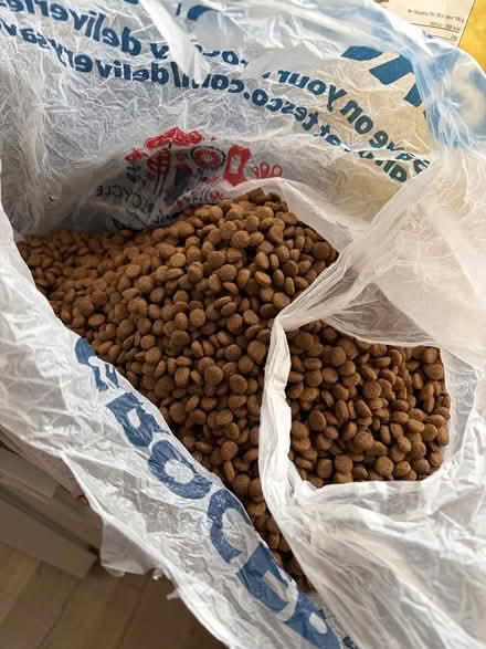 Photo of free Hypoallergenic cat food (SG4 hitchin) #1