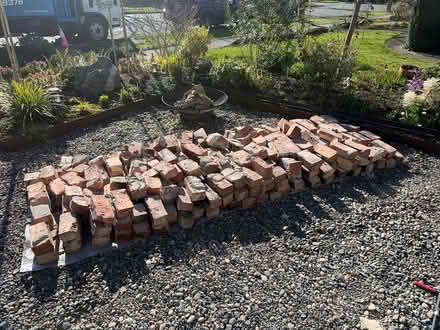 Photo of free red bricks (Central Tacoma) #1