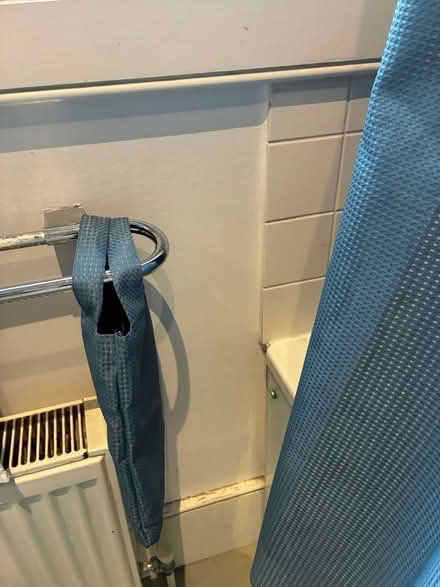 Photo of free Hemp shower curtain and hooks (Homerton E5) #4
