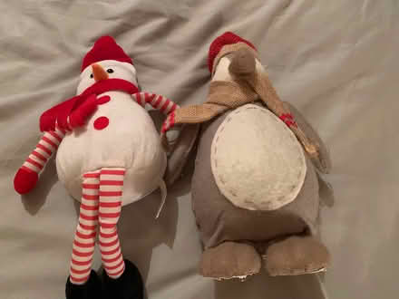 Photo of free Christmas decorations (Newport pagnell MK16) #3