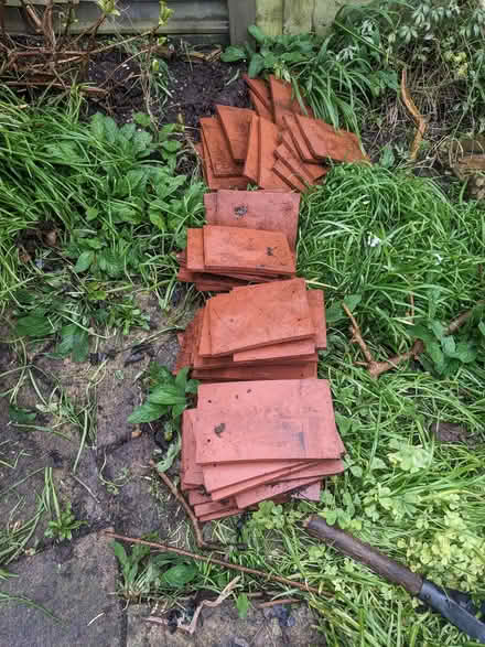 Photo of free Roof tiles (Surrenden BN1) #2
