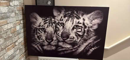 Photo of free Tiger canvas (Campbell park MK9) #1