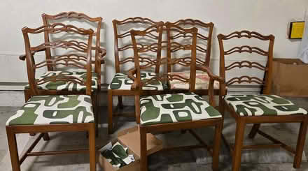 Photo of free 6 free dining chairs (Castro) #1