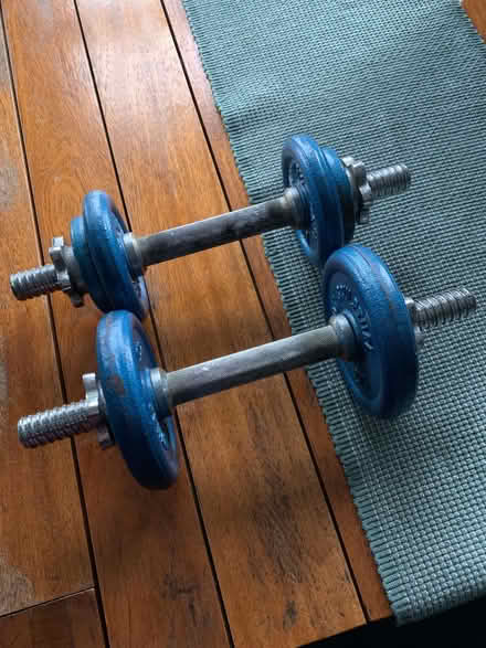 Photo of free Two 1kg dumbells with 4kg weights on each (St Annes BS4) #1