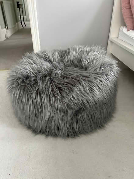 Photo of free Fluffy beanbag (BR1 Sundridge park) #1