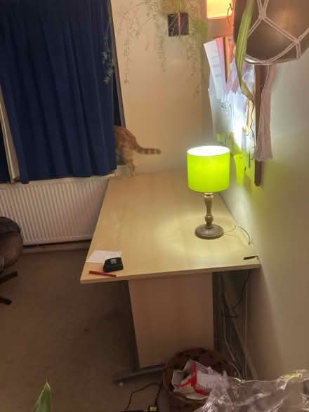 Photo of free Large desk (Newhaven BN9) #2