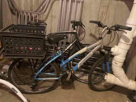 Photo of free Schwinn 21-speed bike (East Somerville) #1