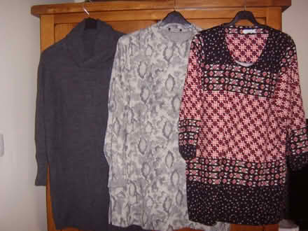 Photo of free 3 ladies tunic tops (Durrington BN13) #1