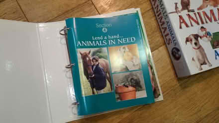 Photo of free Animal Folders (Epsom KT18) #3