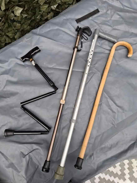 Photo of free Walking Sticks (Woolston WA1) #2