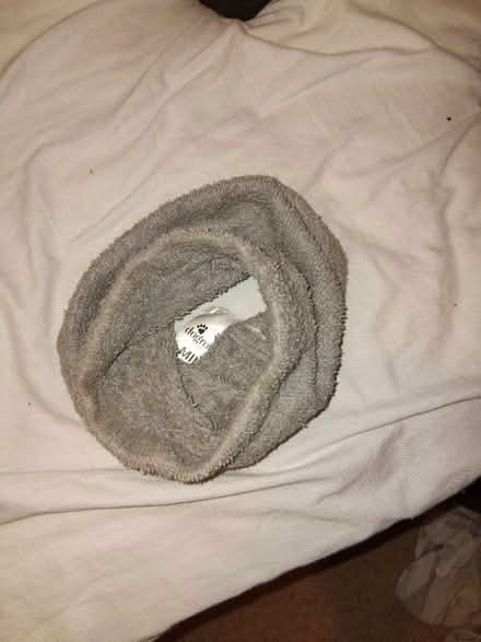 Photo of free Snood for small dog (Smalley DE7) #2
