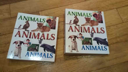 Photo of free Animal Folders (Epsom KT18) #1
