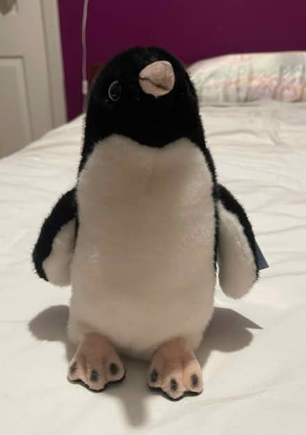 Photo of free Adelie Penguin plush toy 8” tall (WWF) (Chorley PR6) #1