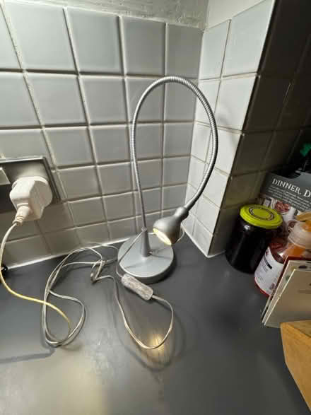 Photo of free Lamps goose necl (BR1) #1