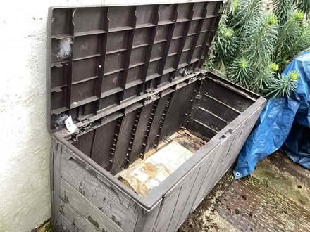 Photo of free 3, 2 or 1 plastic storage boxes (CO7 Wivenhoe) #3