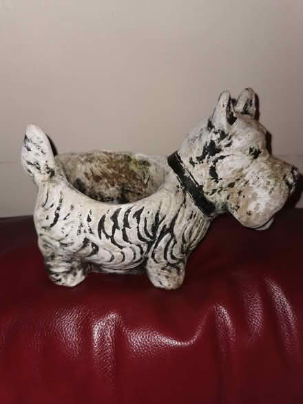 Photo of free Flower/Plant Pot (Parkstone BH14) #1