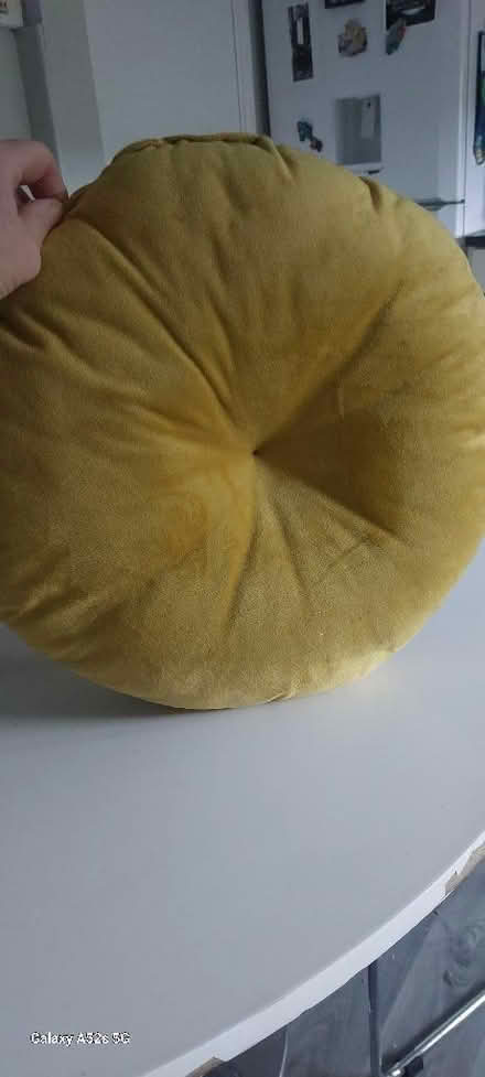 Photo of free Cushion and lamp shade (BT15) #2