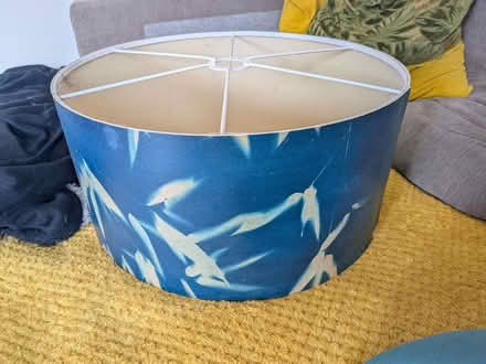 Photo of free Lampshade (Alpington NR14) #1