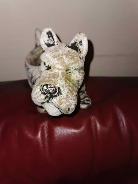 Photo of free Flower/Plant Pot (Parkstone BH14) #4