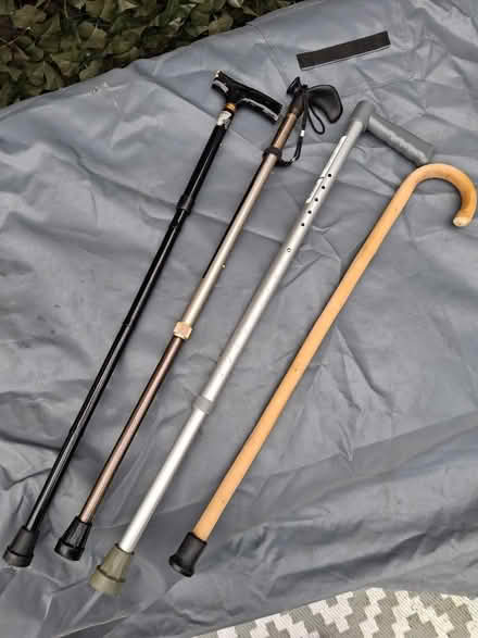 Photo of free Walking Sticks (Woolston WA1) #1