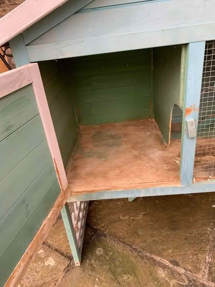 Photo of free Guinea pig hutch and outdoor run (Mayfield EH9) #3