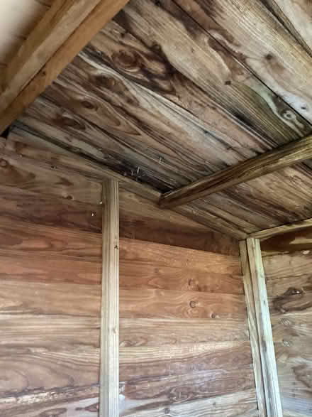 Photo of free Wooden garden shed (Tweenaways TQ3) #4