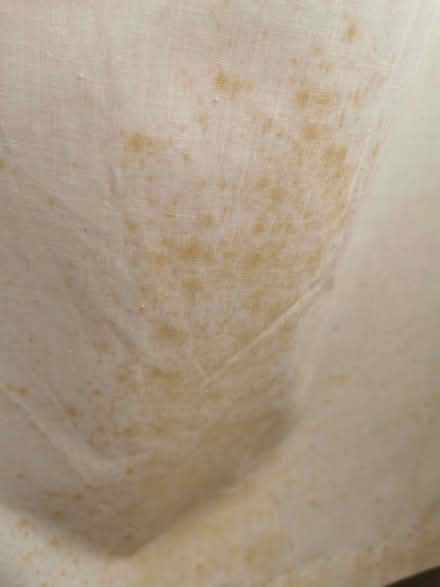 Photo of free Curtains and Pole (Brandwood End B14) #2