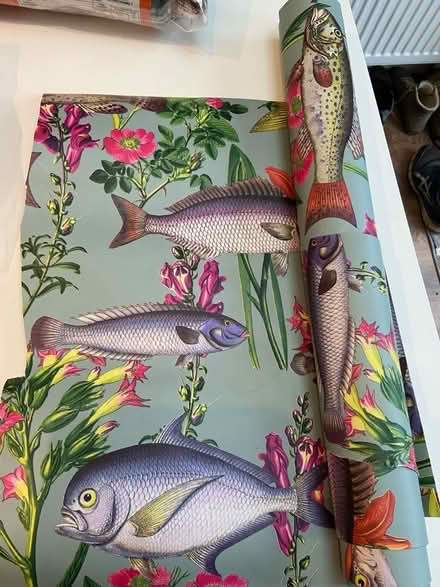 Photo of free Roll of colourful fish themed wallpaper (Amersham Common HP7) #2