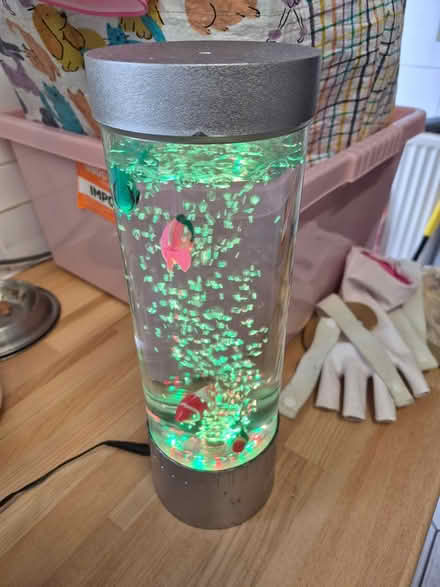 Photo of free Sensory lamp (L8) #1